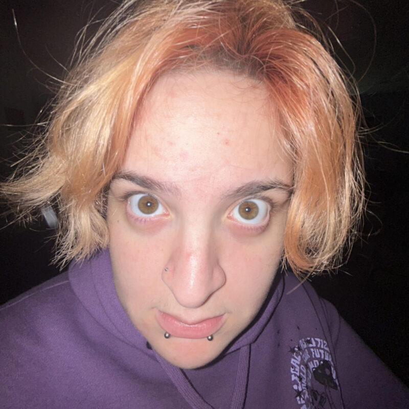 Interactive Media Productions - Ethan D. - Students