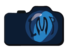 Interactive Media Productions