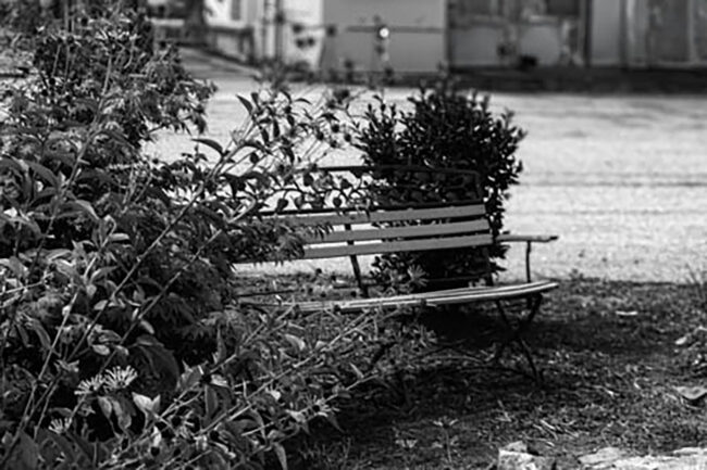 Ryan Plank - Bench - Imp 26'